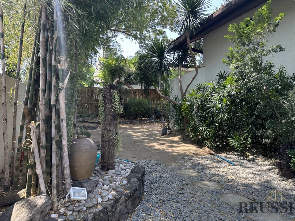 Landscaped Yard